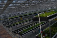 晋土地网页与网站设计之道